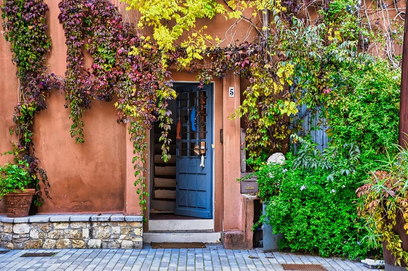DIY Plant Walls