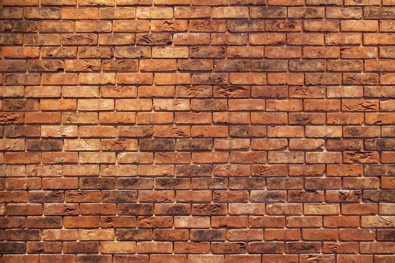 Vertical Plant Wall